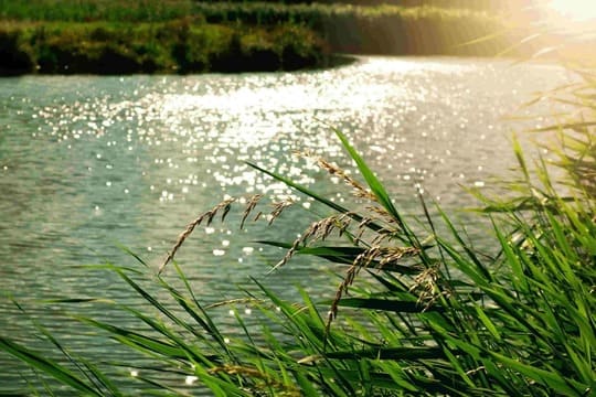 宝剑锋从磨砺出，梅花香自苦寒来